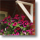 heavy duty diy flat pack shelf on patio
